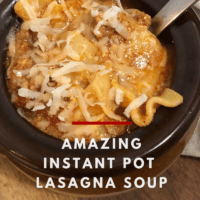 Instant Pot Lasaga Soup