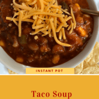 Instant Taco Soup & Taco Seasoning